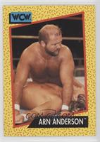 Arn Anderson