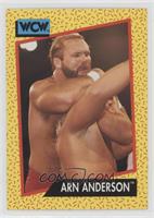 Arn Anderson