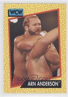 Arn Anderson