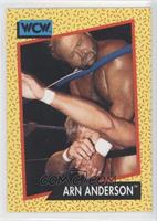 Arn Anderson