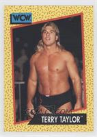 Terry Taylor