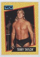 Terry Taylor [EX to NM]