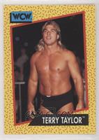 Terry Taylor