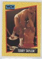 Terry Taylor