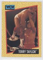 Terry Taylor