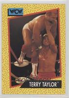 Terry Taylor