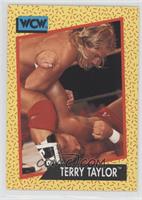 Terry Taylor