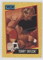 Terry Taylor [Good to VG‑EX]