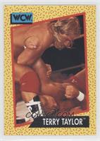 Terry Taylor