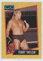 Terry Taylor