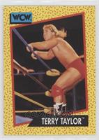 Terry Taylor