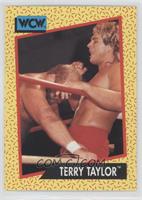 Terry Taylor