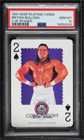 Davey Boy Smith [PSA 10 GEM MT]