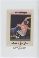 Ricky Steamboat [EX to NM]