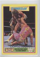 Summer Slam - Randy Savage, Ultimate Warrior