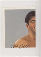 The Model Rick Martel