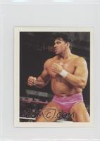 The Model Rick Martel [EX to NM]