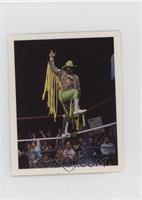 Randy Savage