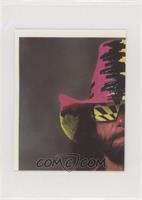 Randy Savage