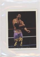 Razor Ramon