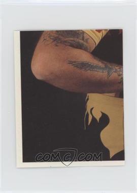 1992 Merlin WWF Album stickers - [Base] #224 - Bam Bam Bigelow