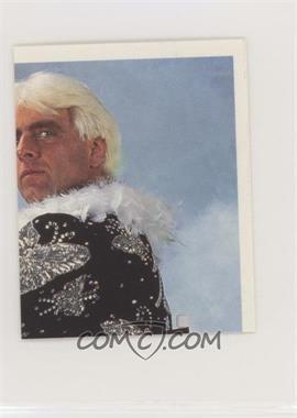 1992 Merlin WWF Album stickers - [Base] #46 - Ric Flair