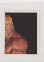 Hulk Hogan [EX to NM]