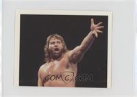 Jim Duggan [EX to NM]