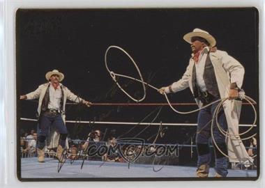 1994 Action Packed WWF - [Base] #25 - Smoking Gunns