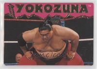 Yokozuna [EX to NM]