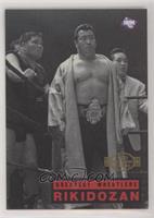 Greatest Wrestlers - Rikidozan [EX to NM]