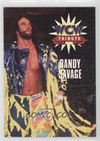 Tribute - Randy Savage