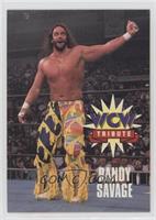 Tribute - Randy Savage [Good to VG‑EX]