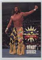 Tribute - Randy Savage