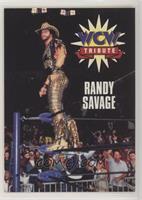 Tribute - Randy Savage