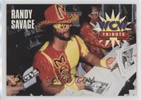 Tribute - Randy Savage [EX to NM]