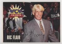 Tribute - Ric Flair