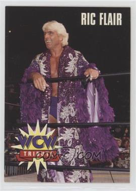 1995 CARDZ WCW Main Event - [Base] #78 - Tribute - Ric Flair