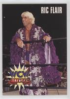 Tribute - Ric Flair [Good to VG‑EX]
