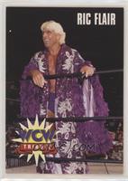 Tribute - Ric Flair