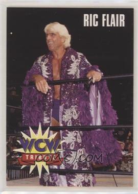 1995 CARDZ WCW Main Event - [Base] #78 - Tribute - Ric Flair