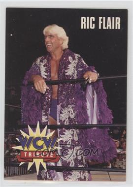 1995 CARDZ WCW Main Event - [Base] #78 - Tribute - Ric Flair