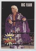 Tribute - Ric Flair [EX to NM]