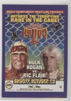 Pay-Per-View - Halloween Havoc 1994 (Hulk Hogan, Ric Flair)