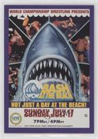 Pay-Per-View - Bash at the Beach [Good to VG‑EX]
