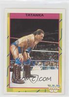 Tatanka