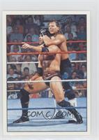 Shawn Michaels