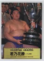 Tournament Winner - Wakanohana Masaru (January)