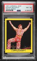 Shawn Michaels [PSA 8 NM‑MT]