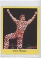 Shawn Michaels